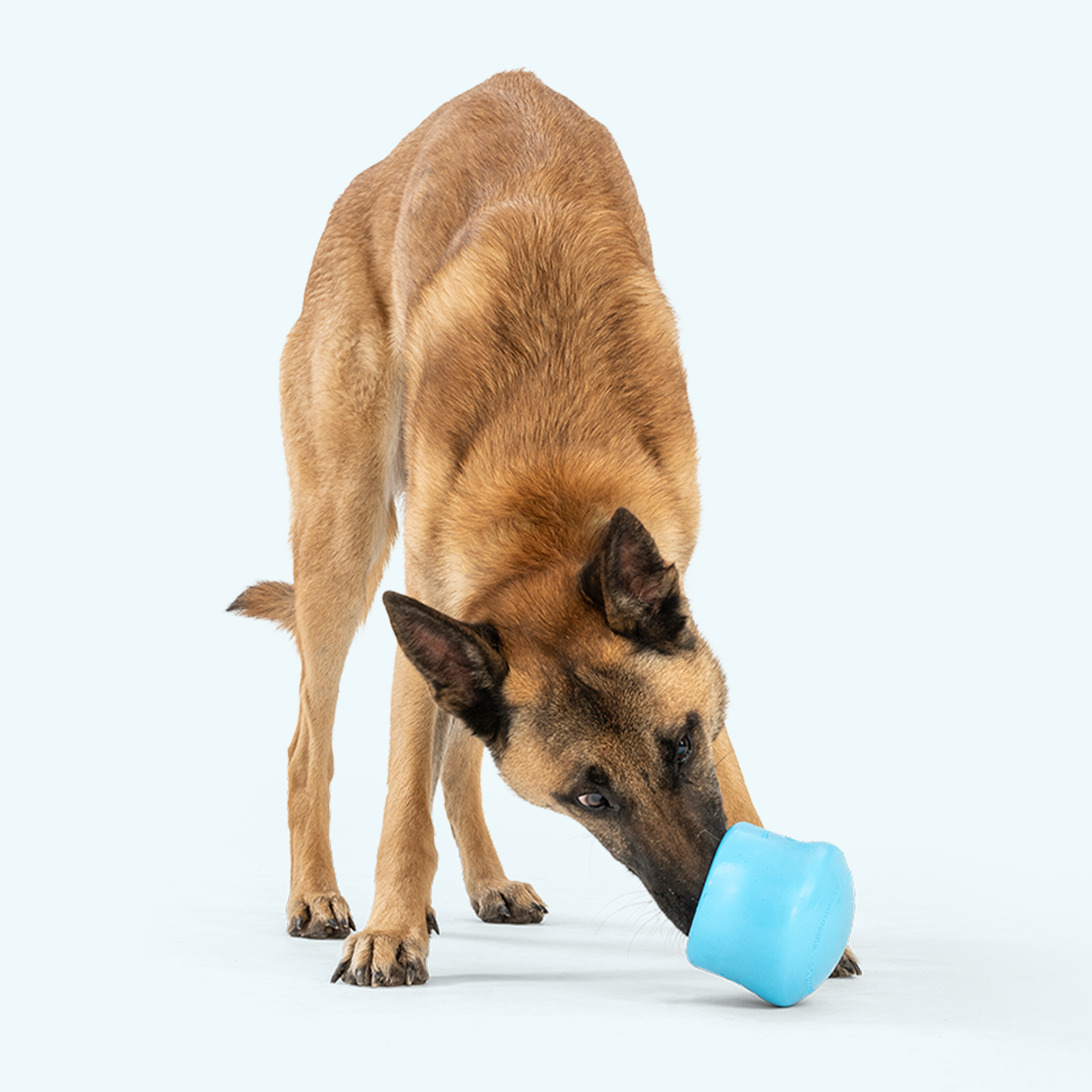 Toppi™ Interactive Treat Puzzle