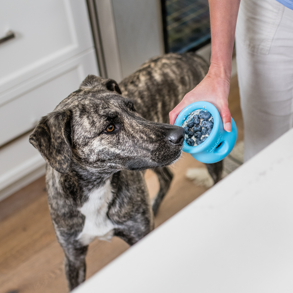 Toppi™ Interactive Treat Puzzle